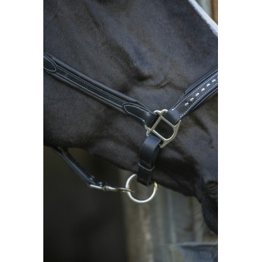 Lederen halster Pénélope Point Sellier Zwart