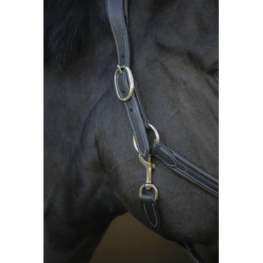 Lederen halster Pénélope Point Sellier Zwart