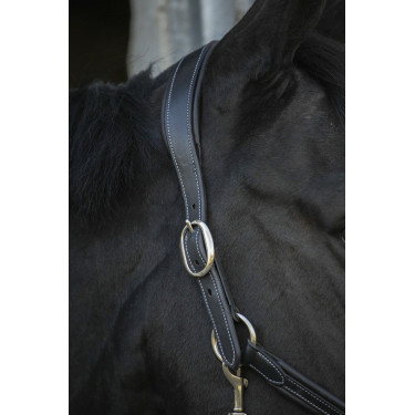 Lederen halster Pénélope Point Sellier Zwart