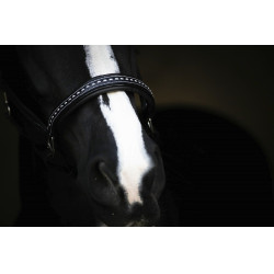 Lederen halster Pénélope Point Sellier Zwart