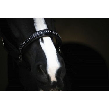 Lederen halster Pénélope Point Sellier Zwart