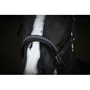 Lederen halster Pénélope Point Sellier Zwart