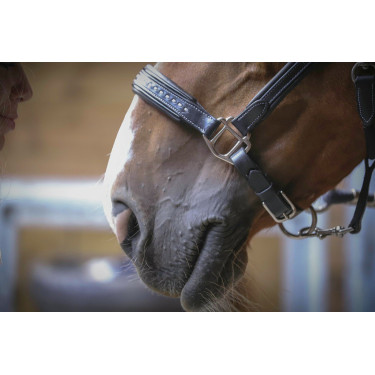 Lederen halster Pénélope Point Sellier Zwart