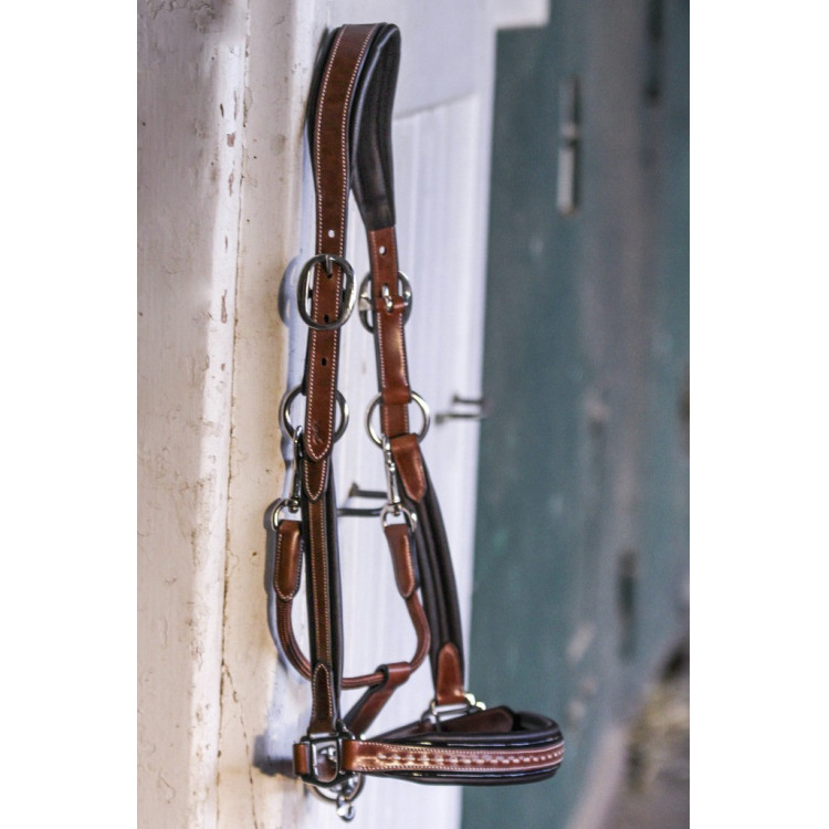 Lederen halster Pénélope Point Sellier Lederen halster Pénélope Point Sellier