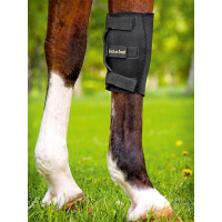 Kniebeschermer Back on Track