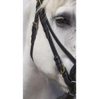 Bridon Excelsior Trekpaard Havana Bruin