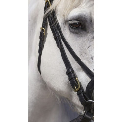 Bridon Excelsior Trekpaard Zwart