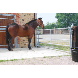 PRAIRIE POORT VAST DIAMETER 42/35 PRAIRIE POORT VAST DIAMETER 42/35