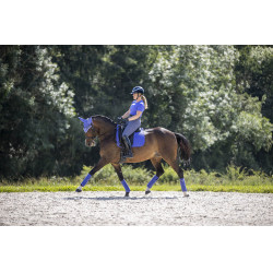 LeMieux Suede Dressuur Zadeldek Bluebell Blauw