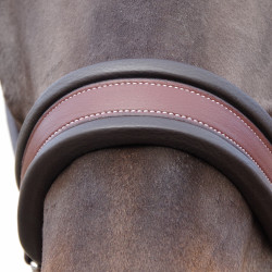 Comfort Halster Flags & Cup Bruin