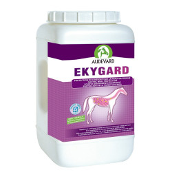 Ekygard Audevard Ekygard Audevard