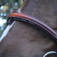 Bridon Vlaggen & Beker Doha Bruin Bridon Vlaggen & Beker Doha Bruin