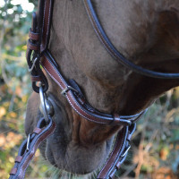 Bridon Vlaggen & Beker Doha Bruin Bridon Vlaggen & Beker Doha Bruin