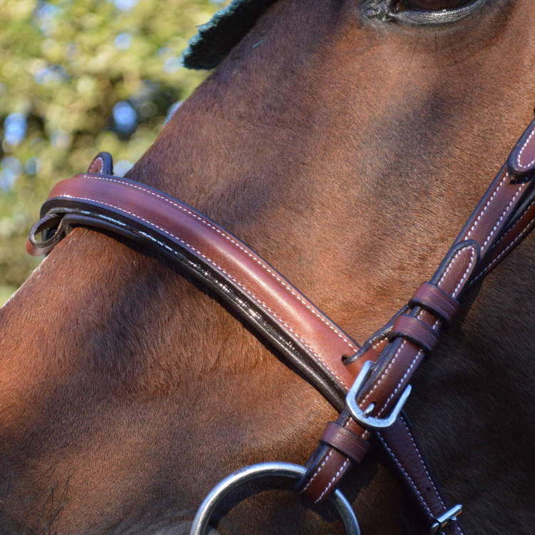 Bridon Vlaggen & Beker Doha Bridon Vlaggen & Beker Doha