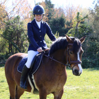 Bridon Flags & Cup Comfort gecombineerd Bruin Bridon Flags & Cup Comfort gecombineerd Bruin