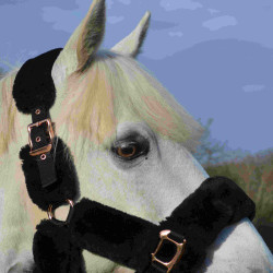 Halster Equithème Teddy roségoud