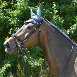 Bridon Canter Zwart strass Bridon Canter Zwart strass