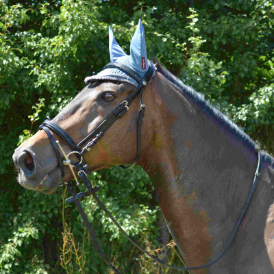 Bridon Canter Zwart strass Zwart