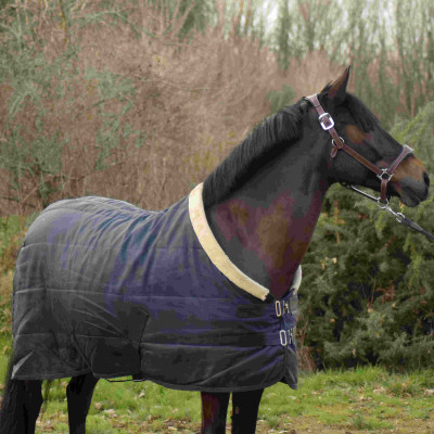 Couverture d'écurie Equi-Theme Teddy Bleu marine