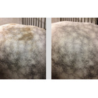 Easy Shine Mouss Ravene