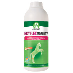 Ekyflex Mobility Audevard
