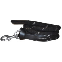 Lange teugel Canter witte...