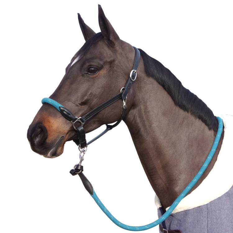 Touwhalster Canter witte gespen