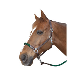 Touwhalster Canter witte gespen Touwhalster Canter witte gespen