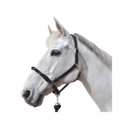 Touwhalster Canter witte gespen Touwhalster Canter witte gespen