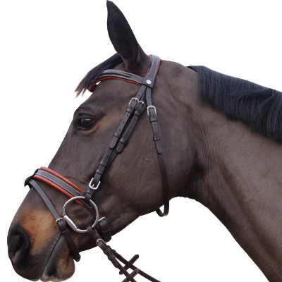 Bridon Canter Alme Bruin