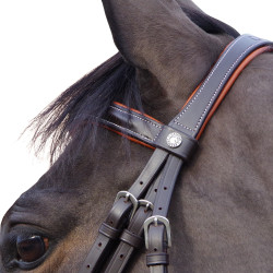 Bridon Canter Alme Bruin