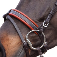 Bridon Canter Alme Bruin Bridon Canter Alme Bruin