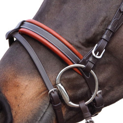 Bridon Canter Alme Bruin