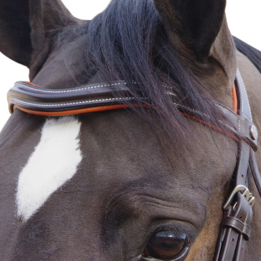 Bridon Canter Alme Bruin