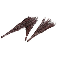 Berkenbos La Gée Berkenbos La Gée