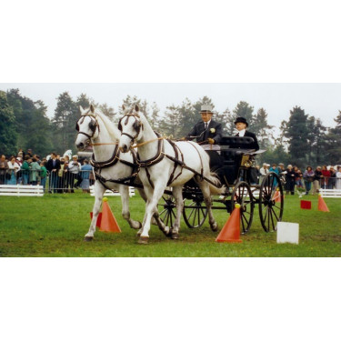 Jogo de kegels en ballen voor mennen La Gée