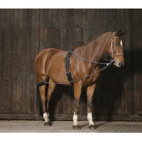 Norton katrollenhulpteugel Norton katrollenhulpteugel