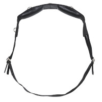 Werkteugel Riding World... Werkteugel Riding World...