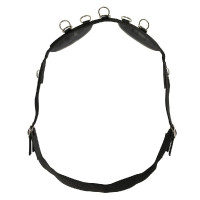 Werkteugel Riding World... Werkteugel Riding World...