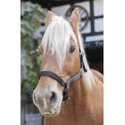 Norton Halster voor Trekpaard Norton Halster voor Trekpaard