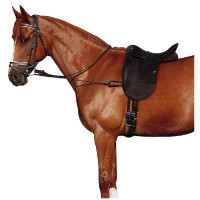 Elastische verstelbare...