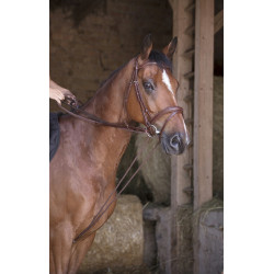 Duitse teugels leer / touw Norton Pro Havana Bruin
