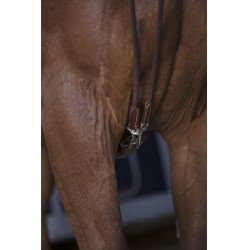 Duitse teugels leer / touw Norton Pro Havana Bruin Duitse teugels leer / touw Norton Pro Havana Bruin