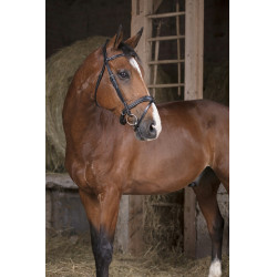 Bridon Norton Pro Golvend Bridon Norton Pro Golvend