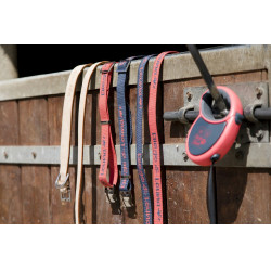 Laat nylon Diego & Louna voor hond Laat nylon Diego & Louna voor hond
