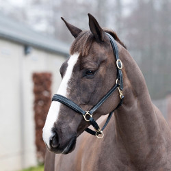 Halster Largo Horze