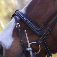 Bridon Pénélope Point Sellier Zwart