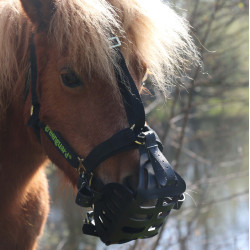 Greenguard mand Greenguard mand
