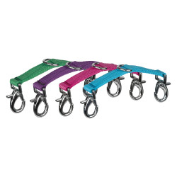 Bitring voor longeerlijn Horze Turkoois blauw