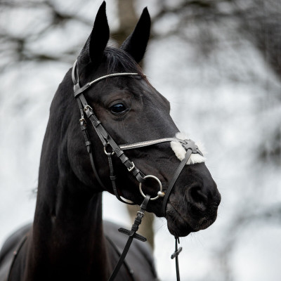 Bridon Valencia Kruisneusriem met strass Zwart